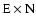 $\rm E \times N$
