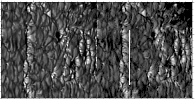 \begin{figure}
\par\includegraphics[width=17cm,clip]{2789fig2.eps}
\end{figure}