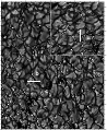 \begin{figure}
\par\includegraphics[width=8.5cm,clip]{2789fig4.eps}
\par\end{figure}