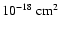 $10^{-18} ~\rm {\rm cm}^2$