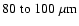 $80\;{\rm to}~100~\mu {\rm m}$