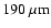 $190~\mu {\rm m}$