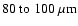$80~{\rm to}~100~\mu {\rm m}$