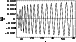 \begin{figure}
\par\includegraphics[width=6.6cm,clip]{1511f7.eps} \end{figure}