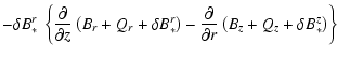 $\displaystyle -
\delta B_*^r ~ \left\{ \frac{\partial}{\partial z}
\left( B_r +...
... - \frac{\partial}{\partial r}
\left( B_z + Q_z + \delta B_*^z \right) \right\}$