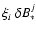 $\xi_i ~ \delta B_*^j$