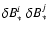 $\delta B_*^i~\delta
B_*^j$