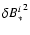 ${\delta
B_*^i}^2$