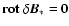 $\bf {rot}~\delta\vec{B}_*=\vec{0}$