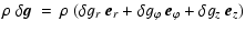 $\displaystyle \rho ~ \delta\vec{g} ~=~ \rho ~ ( \delta g_r ~ \vec{e}_r +
\delta g_\varphi ~ \vec{e}_\varphi + \delta g_z ~ \vec{e}_z )$