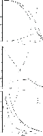 \begin{figure}
\par\includegraphics[width=5.5cm]{Hf081_f1.eps}
\end{figure}