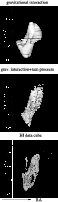 \begin{figure}
\par\includegraphics[width=6.35cm,clip]{1350f10.eps}\end{figure}