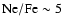 ${\rm Ne/Fe}\sim5$