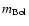 $m_{\rm Bol}$