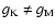 $g_{\rm K}\neq g_{\rm M}$