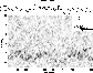 \begin{figure}
\par\includegraphics[width=7.4cm,clip]{2457f14.eps}
\end{figure}