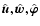 $\hat{\vec{u}}, \hat{\vec{w}}, \hat{\vec{\varphi}}$