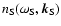 $n_{\rm S}(\omega_{\rm S}, \vec{k}_{\rm S})$