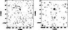 \begin{figure}
\par\includegraphics[angle=-90,width=6cm,clip]{2617fig1.ps}\hspace*{2mm}
\includegraphics[angle=-90,width=6cm,clip]{2617fig2.ps}
\end{figure}