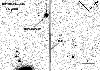 \begin{figure}
\par\includegraphics[width=8.8cm,clip]{2987fig1.ps}
\end{figure}