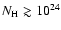 $N_{{\rm H}} \gtrsim 10^{24}$