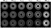 \begin{figure}
\par\hspace*{1.2cm} \begin{tabular}{cccccc}
\hspace{-0.4in} $0.1...
...\includegraphics[width=1.5in]{3391f4r.ps}\\ [-0.1in]
\end{tabular} \end{figure}