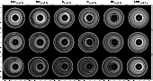 \begin{figure}
\par\hspace*{1.4cm} \begin{tabular}{cccccc}
\hspace{-0.4in} $0.1...
...\includegraphics[width=1.5in]{3391f5r.ps}\\ [-0.1in]
\end{tabular} \end{figure}