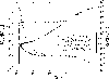 \begin{figure}
\par\includegraphics[width=8.8cm,clip]{4511.f15.eps}
\end{figure}