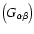 $%
\left( G_{\alpha \beta }\right) $