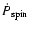 $\dot{P}_{\rm spin}$