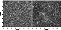 \begin{figure}\par
\includegraphics[width=180mm]{3373fig1.eps}\par
\end{figure}