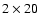 $2\times20$