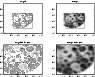 \begin{figure}
\par\includegraphics[width=8.4cm,clip]{3414fg6.eps} \end{figure}