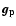 $\vec{g_{\rm p}}$