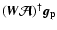 $(\vec{W}\vec {\cal A})^\dagger\vec{g_{\rm p}}$