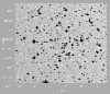 \begin{figure}
\par\includegraphics[width=8.8cm]{fig3.eps}
\end{figure}
