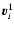 $\vec{v}_i^1$