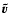 $\vec{\tilde{v}}$