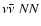 $\nu\bar{\nu}~NN$