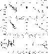 \begin{figure}
\par\psfig{figure=2767fg14.eps,height=9.5truecm,width=8.5truecm,clip=}\end{figure}