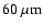 ${\rm 60~\mu m}$
