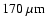 ${\rm 170~\mu m}$