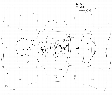 \begin{figure}
\par\includegraphics[width=14cm, clip]{3513fig5.eps} %
\end{figure}