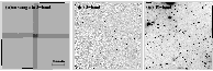 \begin{figure}
\par\includegraphics[width=17cm,clip=true]{2208fig1.ps} \end{figure}