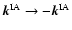 $\vec{k}^{\rm IA} \rightarrow -\vec{k}^{\rm IA}$