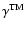 $\gamma^{\rm TM}$