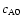 $c_{\rm A0}$