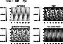 \begin{figure}
\par\includegraphics[width=11.2cm,clip]{3115f17.ps}
\end{figure}