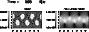 \begin{figure}
\par\includegraphics[width=7.8cm,clip]{3115fA2.ps}
\end{figure}