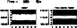 \begin{figure}
\par\includegraphics[width=7.5cm,clip]{3115fA4.ps}
\end{figure}